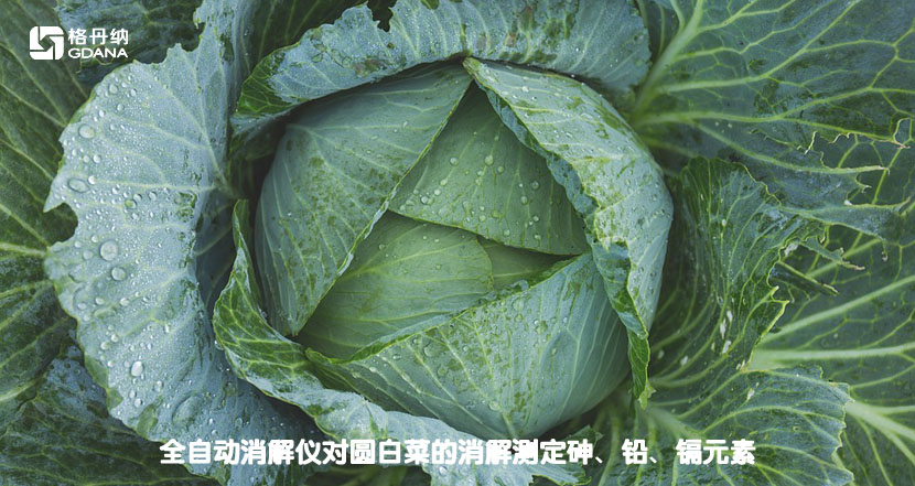 全自動消解儀對圓白菜的消解測定砷、鉛、鎘元素